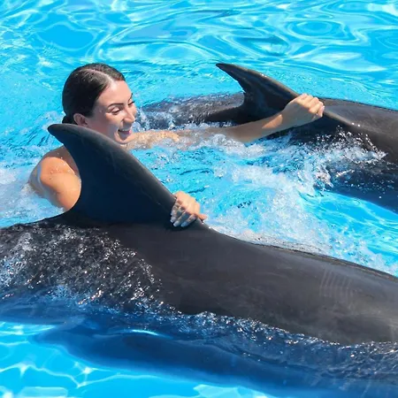 Happy House In Clube Albufeira